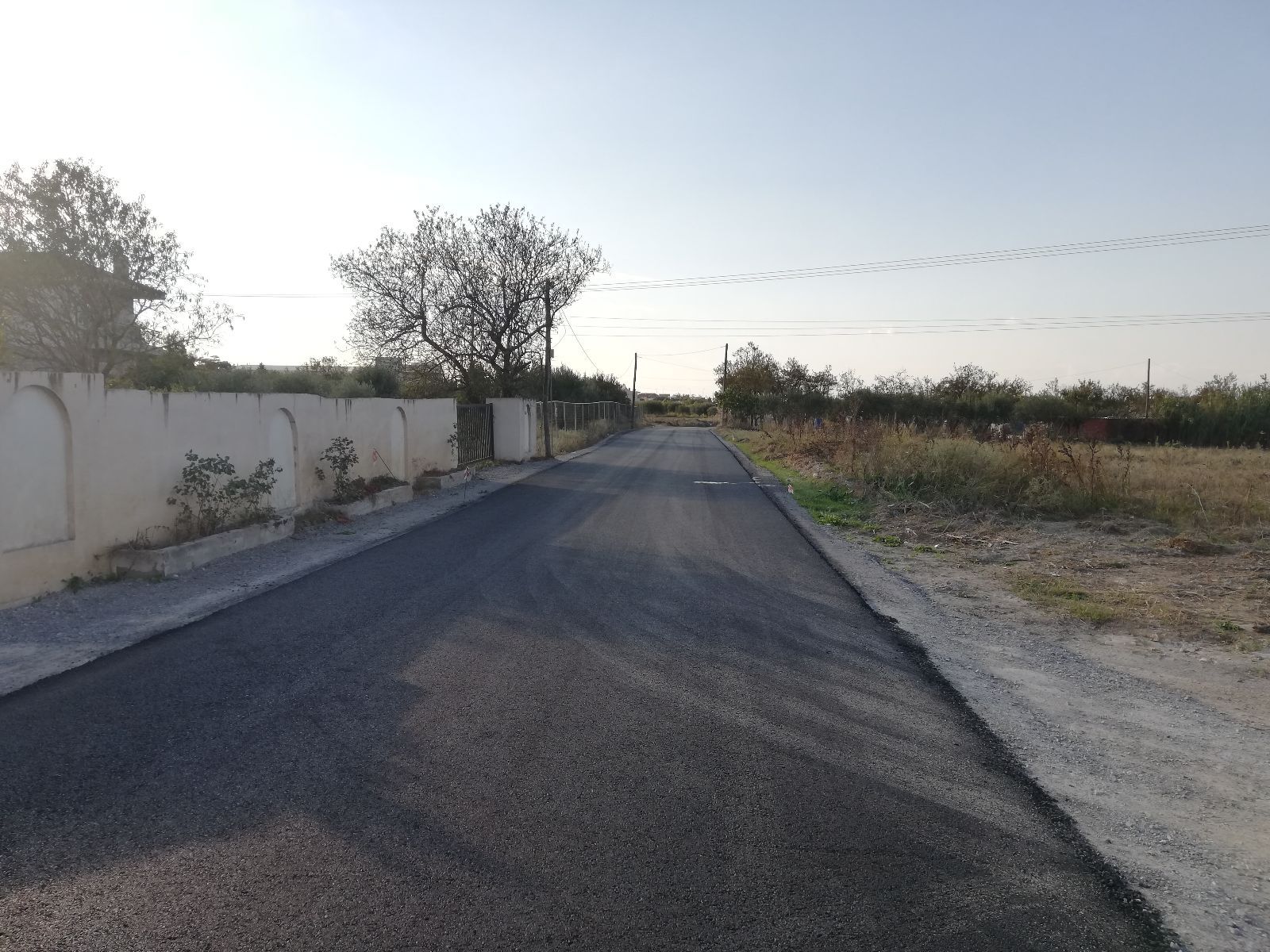 8000 τ.μ. Αγροτεμάχιο