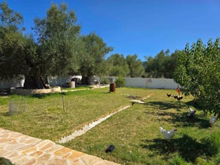 90 m² Detached House