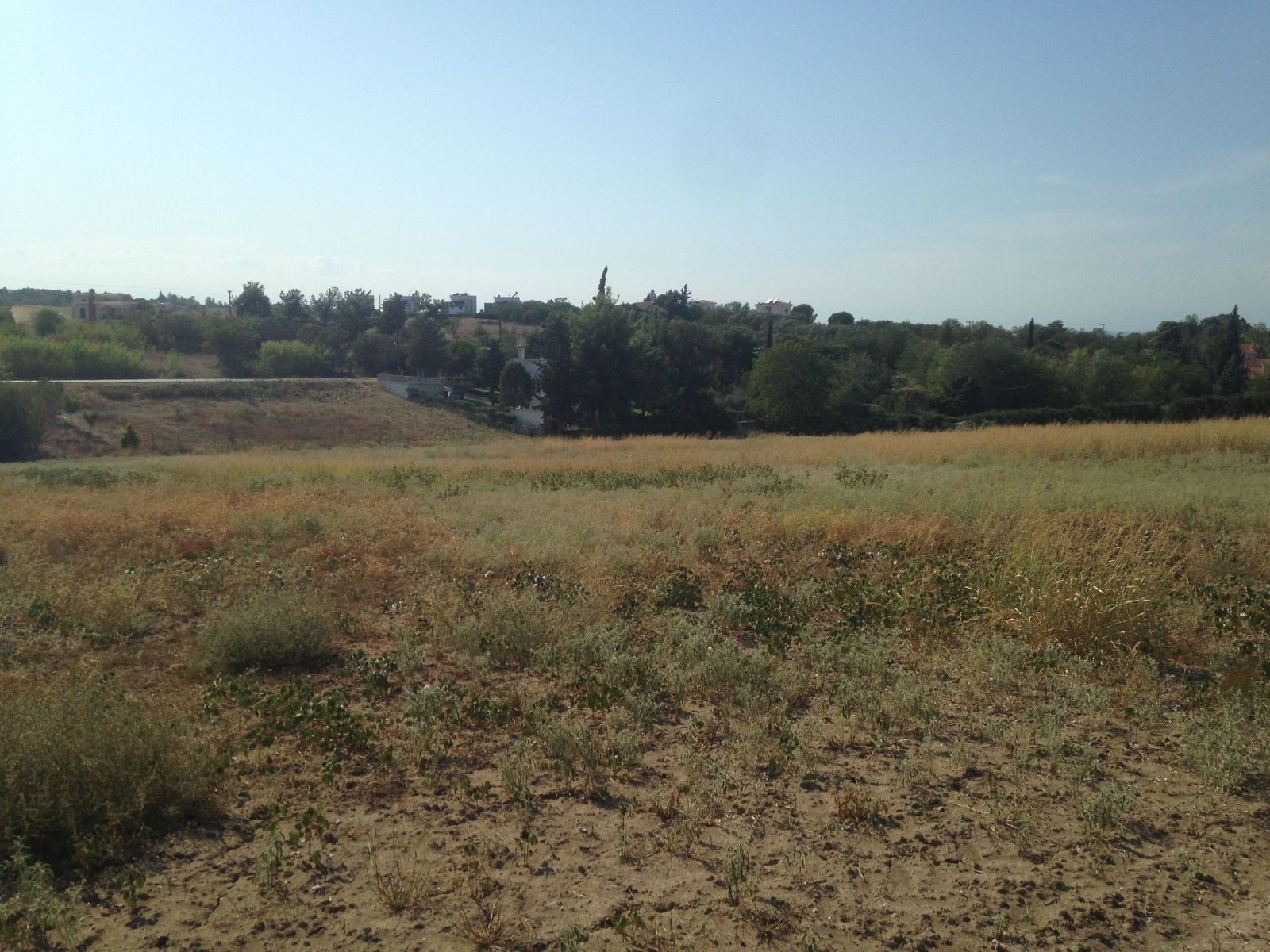 5000 m² Parcel