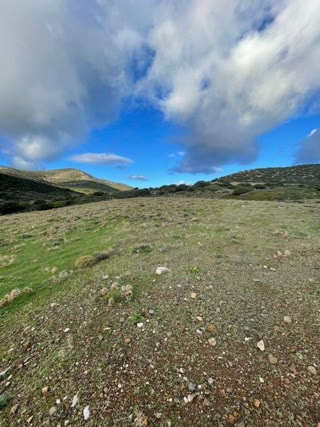 21000 m² Parcel