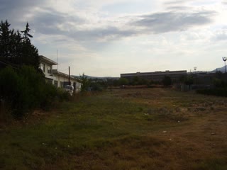 Αγροτεμάχιο 4336 τ.μ.