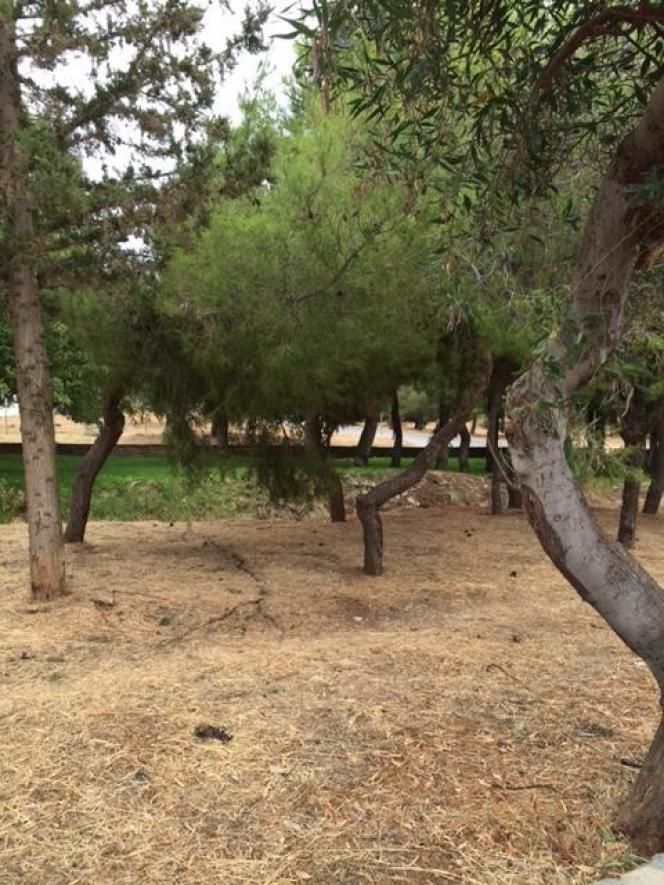351 m² Plot