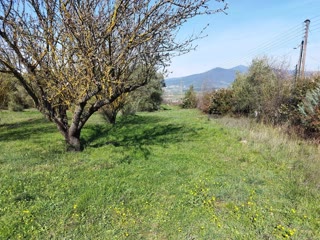 4600 m² Parcel