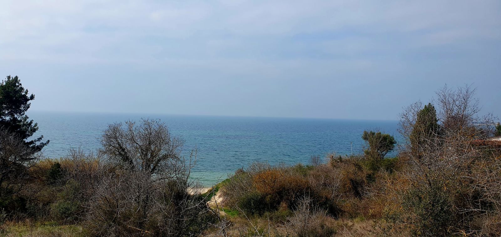 6200 m² Parcel