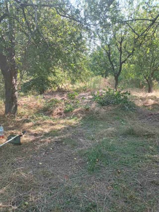 For sale: a plot in Khoroshevo!