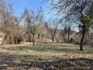 Sale of land in Lviv | Holosko | Promising investment 🔥