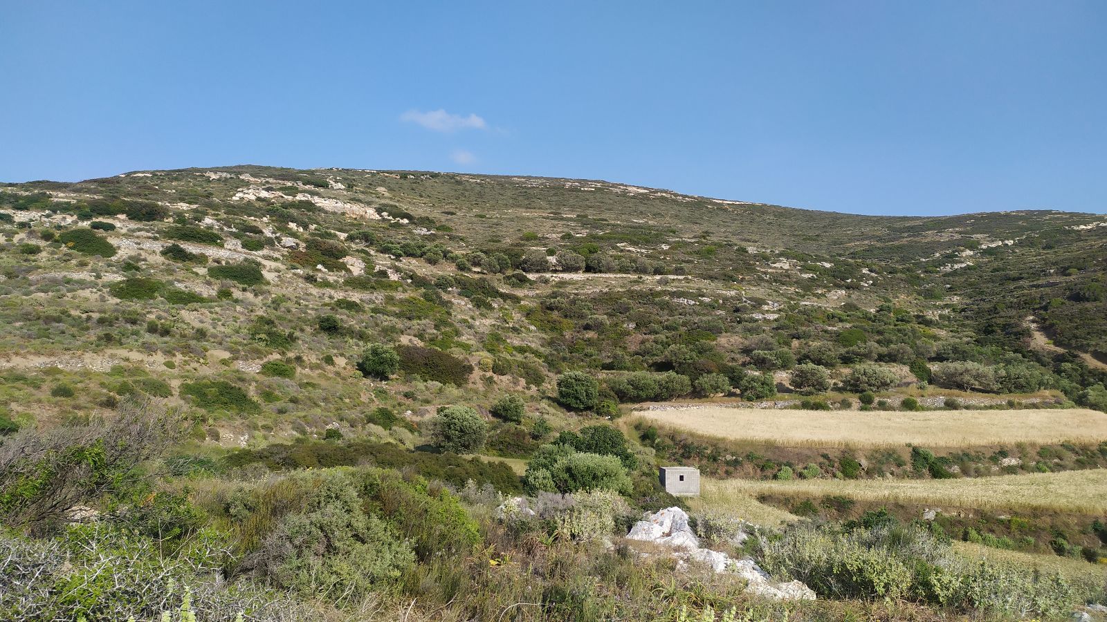 4400 m² Parcel