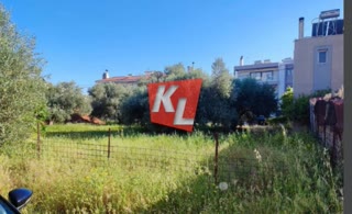 736 m² Plot