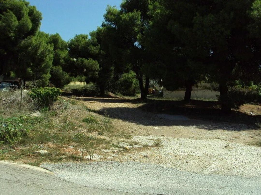 Οικόπεδο 1577τ.μ.