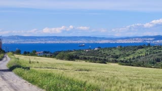 20600 m² Parcel