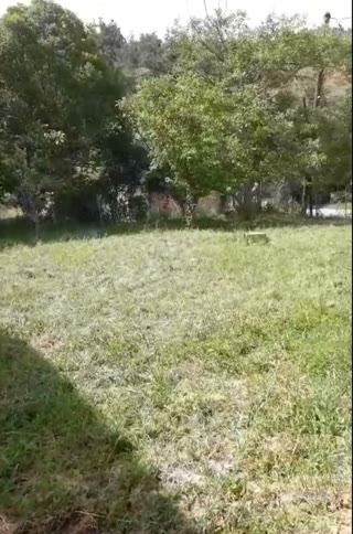 532 m² Plot