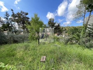 740 m² Plot