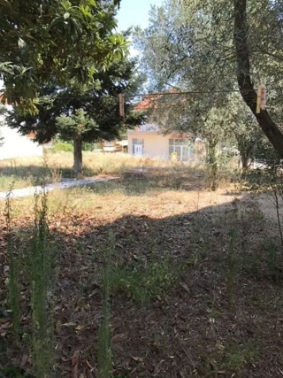 626 m² Plot