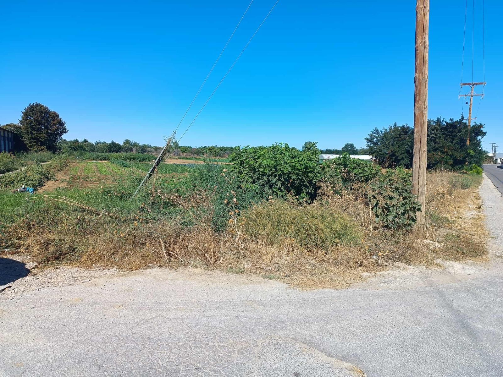 6500 m² Parcel