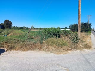 6500 m² Parcel