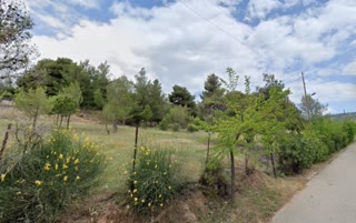 7447 m² Plot