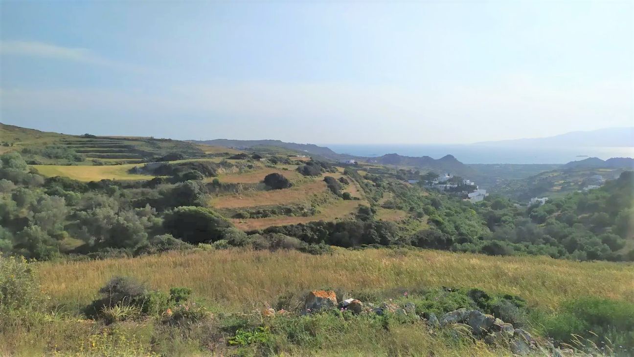 4400 m² Parcel