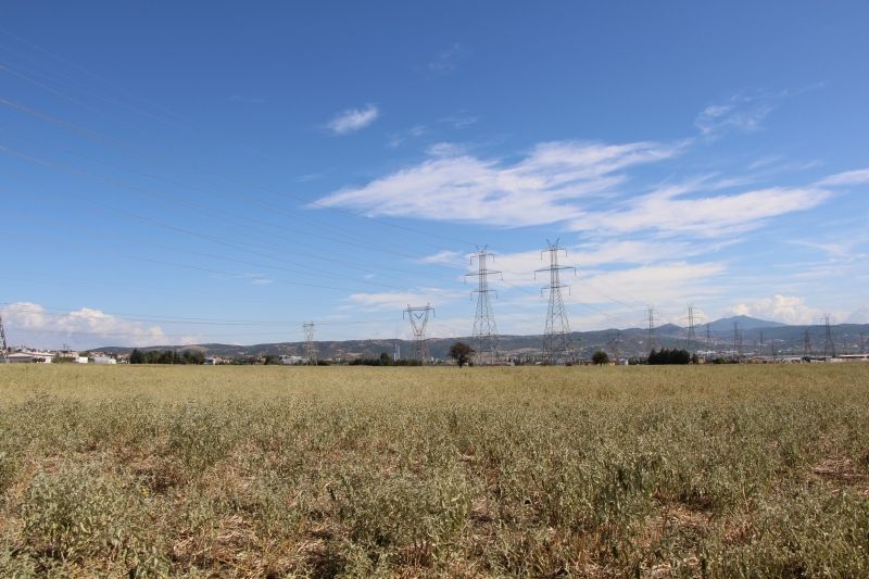 19800 m² Parcel