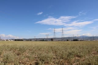 19800 m² Parcel