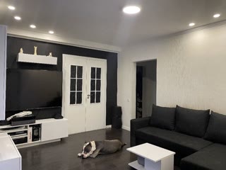 Продаж 3к квартири з меблями, вул.Милославська, Деснянський р-н