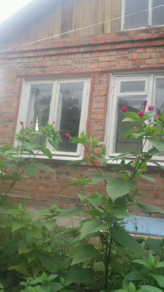 Здам 2/3 будинку