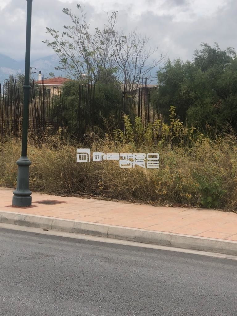 Οικόπεδο 2655 τ.μ.