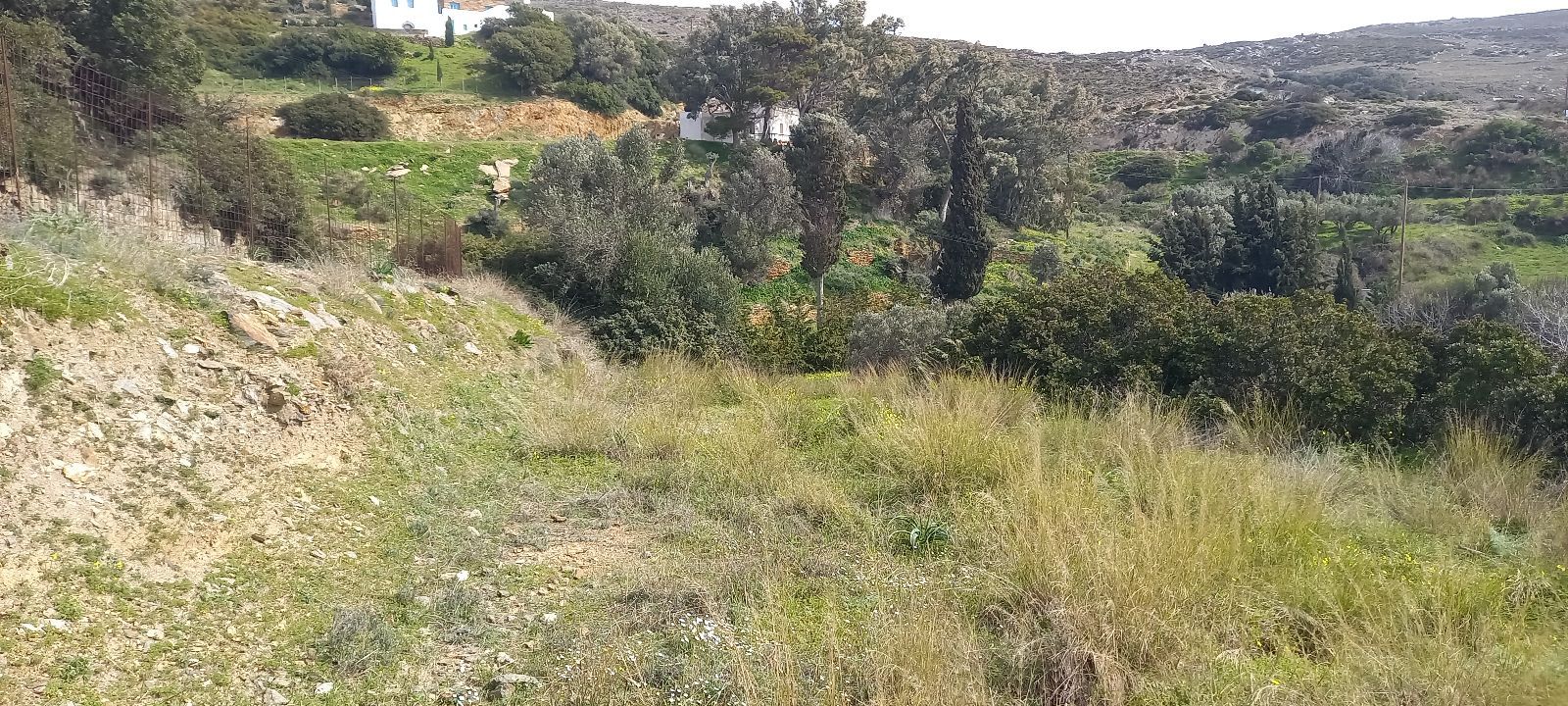 Οικόπεδο 2617 τ.μ.