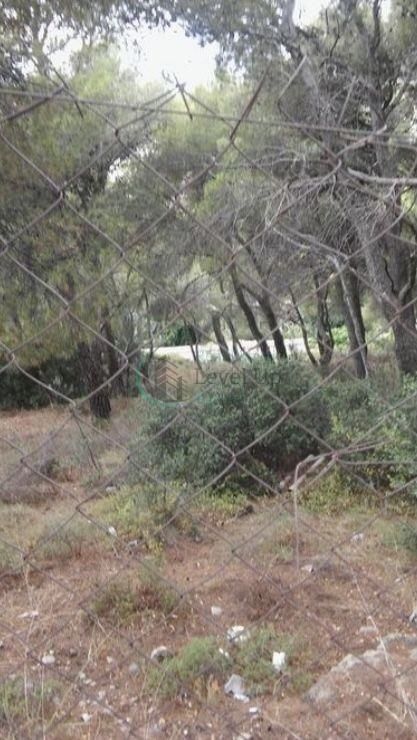 Οικόπεδο 1.072 τ.μ.
