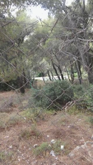 1,072 m² Plot