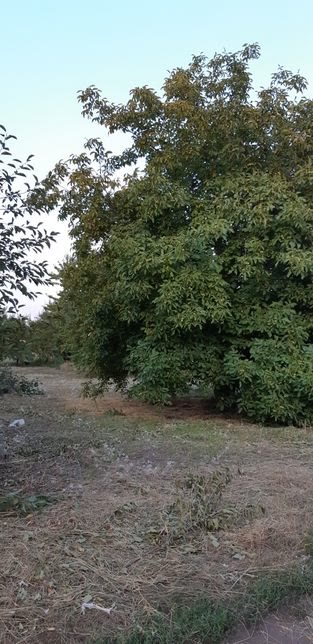 Продам