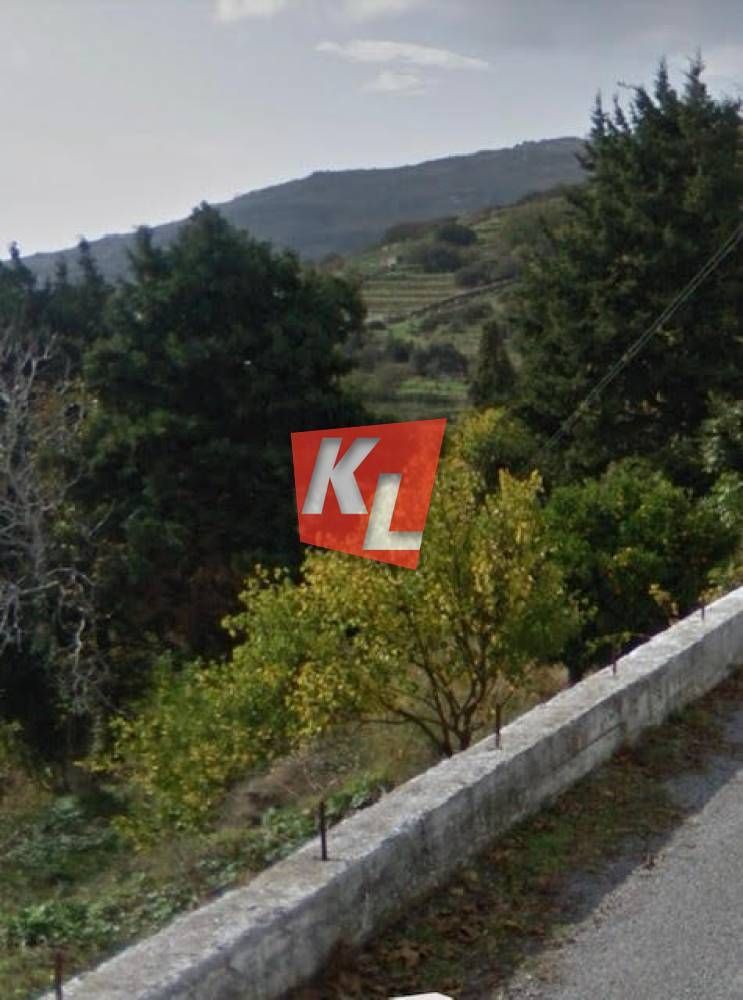 Οικόπεδο 2000τ.μ.