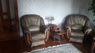 Продам 3х к квартиру Салтовка