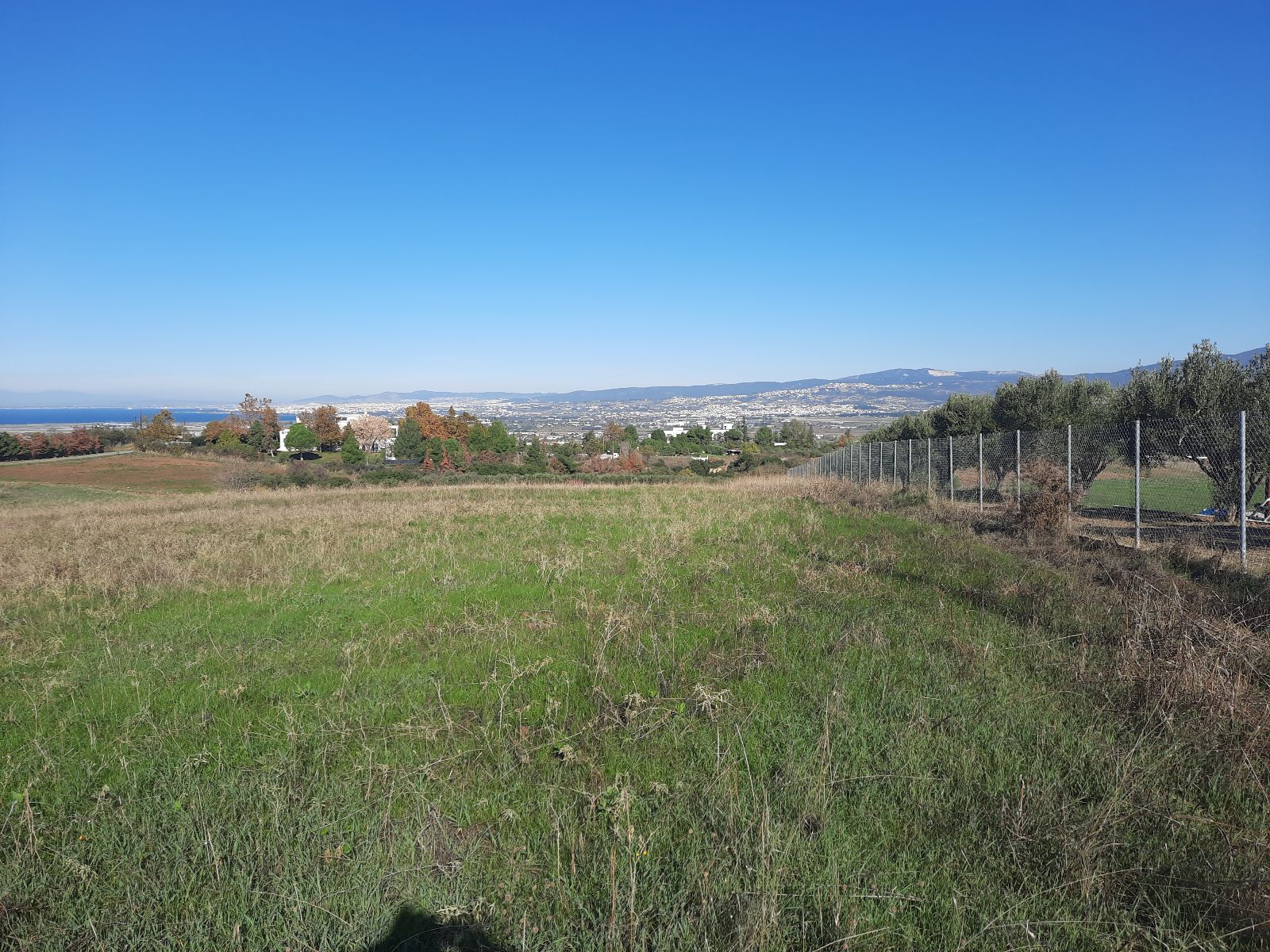 6800 m² Parcel