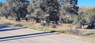 9000 τ.μ. Αγροτεμάχιο