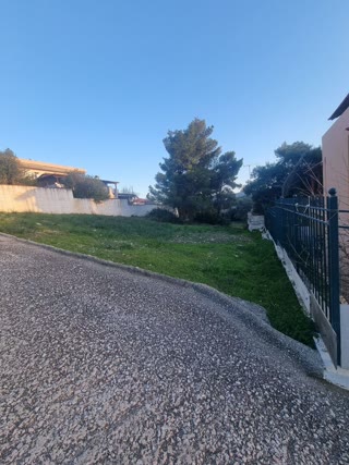 Οικόπεδο 581τ.μ.