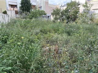 Οικόπεδο 317 τ.μ.