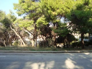 Οικόπεδο 811 τ.μ.