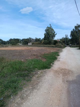 Участок 351 м²