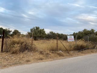 Αγροτεμάχιο 4010τ.μ.