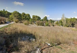 Οικόπεδο 1647τ.μ.
