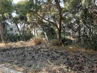 Οικόπεδο 800τ.μ.
