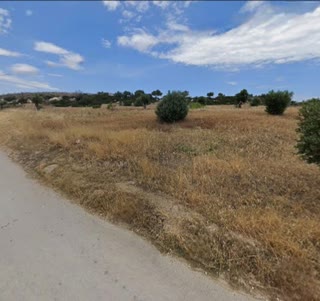 Αγροτεμάχιο 2000τ.μ.
