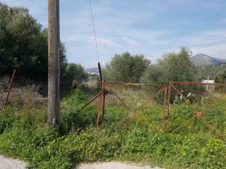 Участок 5960 м²
