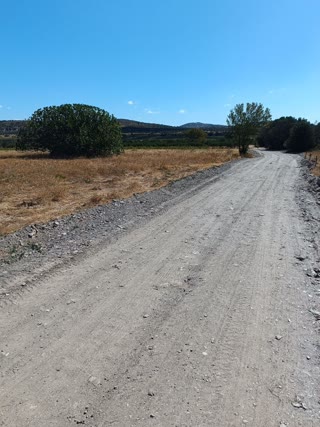 Αγροτεμάχιο 6000 τ.μ.