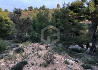 Οικόπεδο 4500τ.μ.