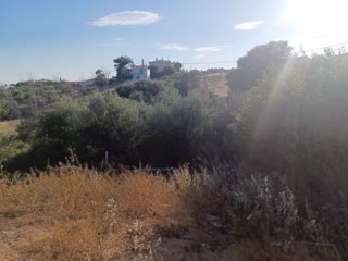 Οικόπεδο 290 τ.μ.