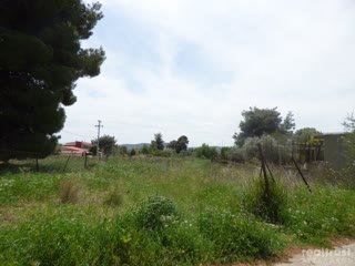 Οικόπεδο 188τ.μ.
