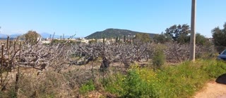 Οικόπεδο 250τ.μ.