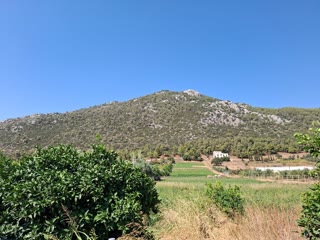 Αγροτεμάχιο 11500 τ.μ.