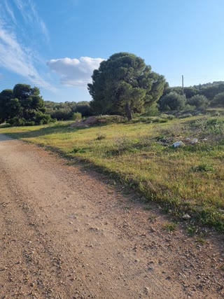 9200 m² Plot